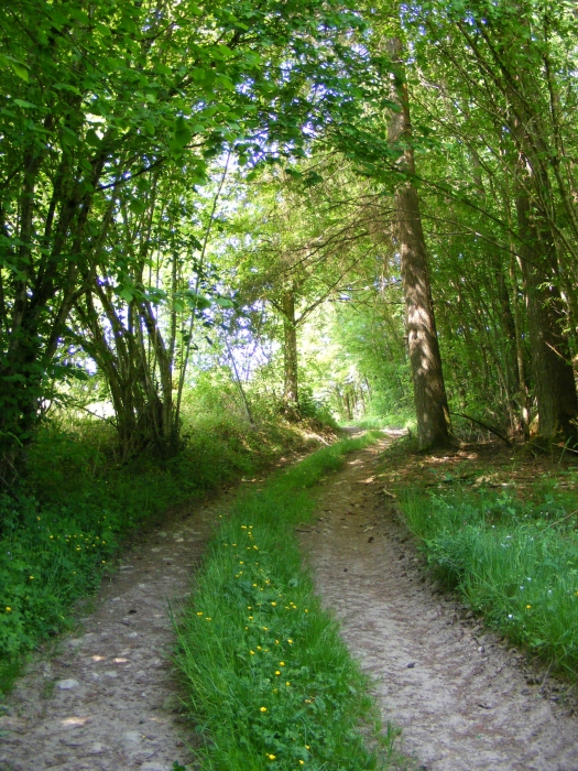 DSCF4518.jpg